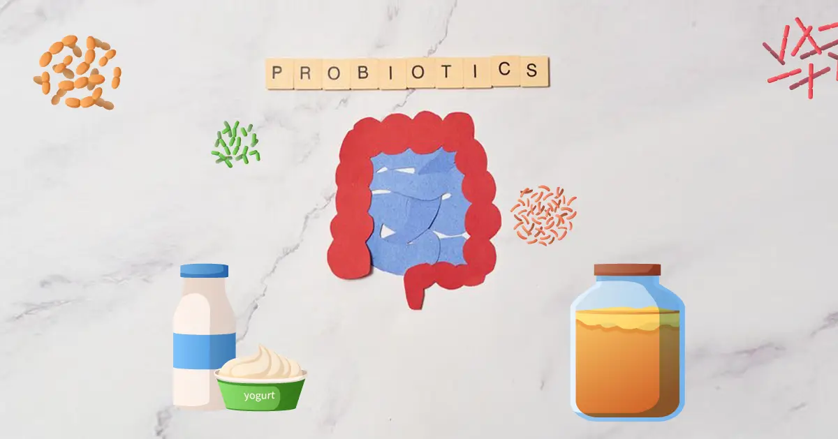 Probiotics and Our Gut